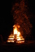 DSC_2098.JPG